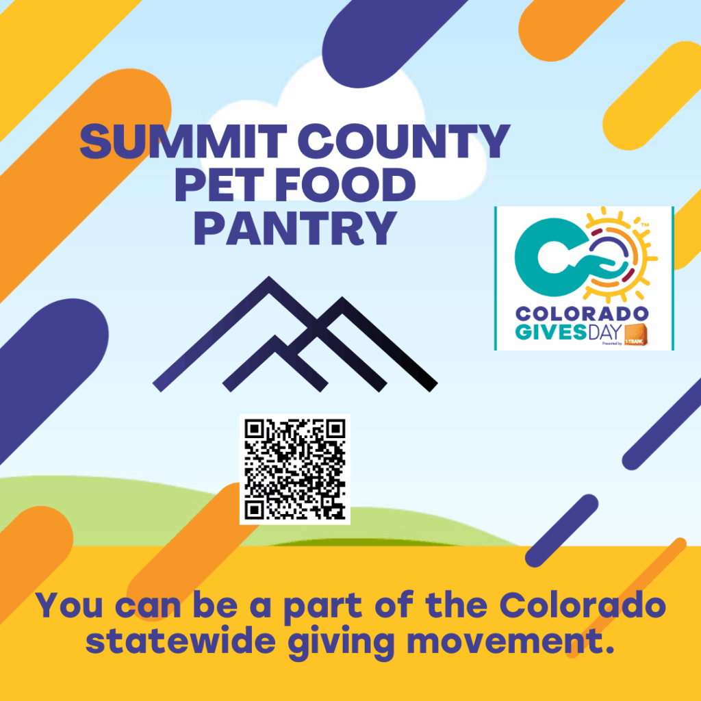 Colorado Gives Day Flyer with donation QR Code